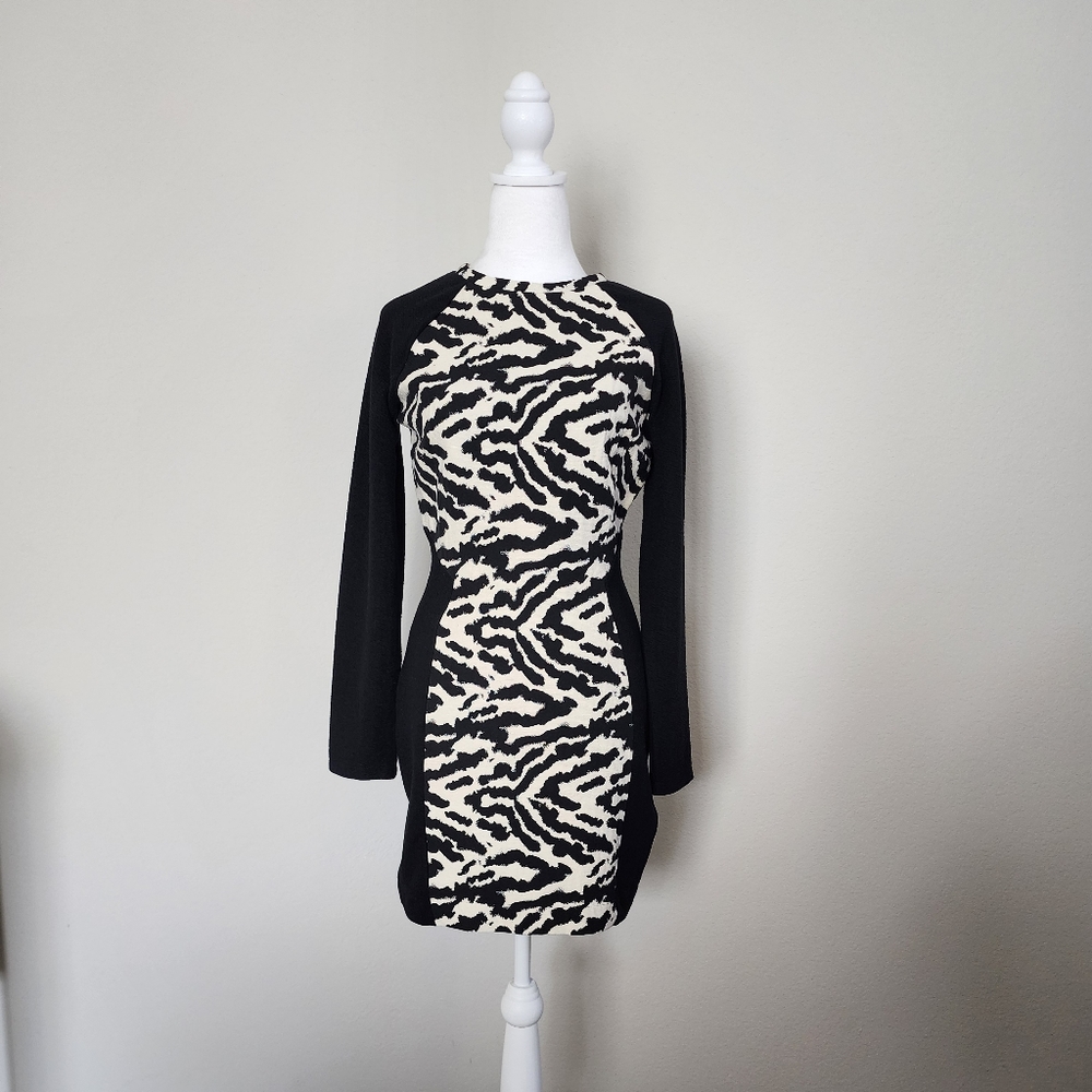 H&M Animal Print Dress